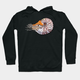 Chambered Nautilus - white Hoodie